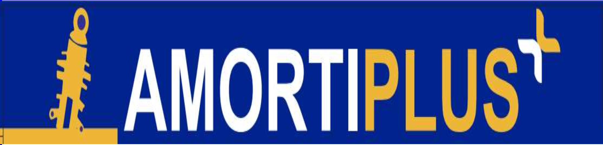 Logo marque Amortiplus
